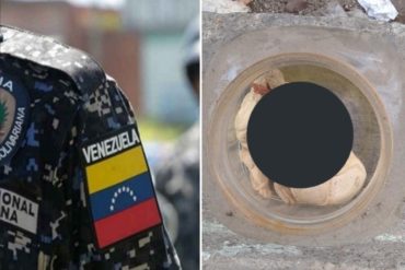 ¡INSÓLITO! Funcionarios del CPNB hallaron 2 fetos en un container de basura (+Imagen sensible)