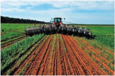 Productores agrarios venden sus hortalizas hasta 5 veces por debajo del precio fijado en supermercados