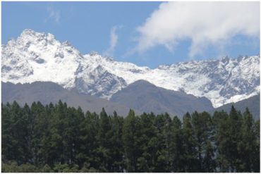 ¡ESPECTACULAR! De blanco amaneció el Páramo Andino por segundo día consecutivo (+Fotos +Video)