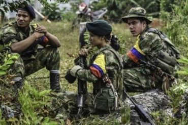 ¡SEPA! Una venezolana integra el grupo de las FARC que se entregó en Arauca (4 indígenas también cedieron sus armas)
