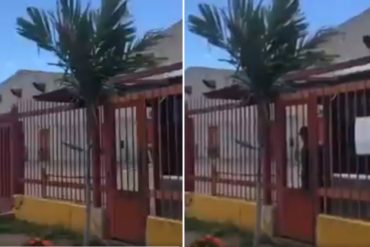 ¡INDIGNANTE! Amenazan con un “plomazo” a reportero de VPI TV por grabar fachada de Friosa en Bolívar  (+Video)