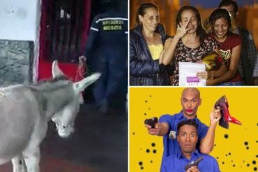 ¡TE PRESENTAMOS! 5 ejemplos de cómo en Venezuela puedes terminar preso por publicar un tuit, grabar un video o hacer una obra de teatro