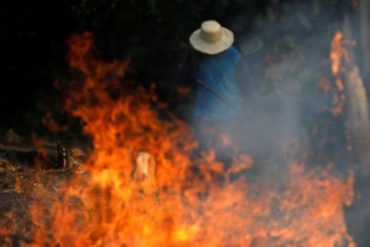 ¡ALARMANTE! La selva de la Amazonia, el pulmón del planeta, arde a una velocidad récord (+Fotos +Videos)