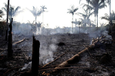 ¡LO ÚLTIMO! Bolsonaro anuncia que tropas federales combatirán incendios en el Amazonas (+Video)