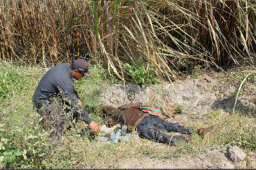 ¡SEPA! Hallado cadáver en estado de descomposición al costado de una carretera en Aragua