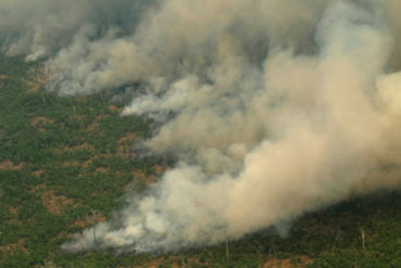 ¡LE DECIMOS! El humo de los incendios en la Amazonía llegó a Argentina