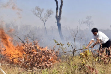 ¡QUÉ SHOW!»Dónde están, dónde están»: Los gritos de Evo Morales perdido en la selva mientras apagaba incendios forestales (+Video)