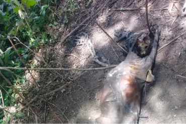 ¡ATERRADOR! Hallaron una osamenta a orillas de un río en Bolívar (Tenía una cadena en las muñecas)