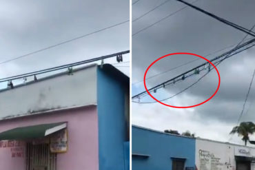¡MIRE USTED MISMO! El insólito método para evitar los robos de cableado eléctrico en Apure (+Video)
