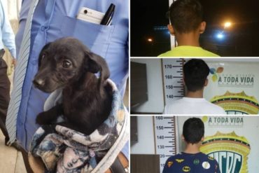 ¡LE CONTAMOS! Detuvieron a 3 adolescentes por torturar a un perro de 2 meses (+Video sensible)