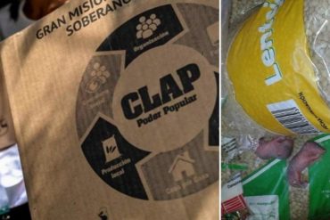 ¡QUÉ ASCO! Denunciaron que en una caja CLAP se encontraron con dos ratones “recién nacidos” (+Foto sensible)