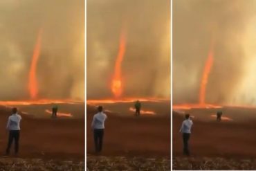 ¡ASOMBROSO! Dos impactantes tornados de fuego destruyeron unas granjas en Brasil (+Video impactante)