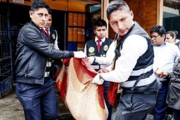 ¡VIOLENTO CRIMEN! Dos venezolanos asesinaron a golpes a dueño de un bar en Lima: Murió tratando de defender a su esposa (+Detalles)