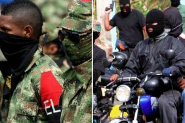 ¡GRAVE! Colombia denuncia ante la OEA las operaciones del ELN junto a los colectivos armados del régimen de Maduro (+Video)