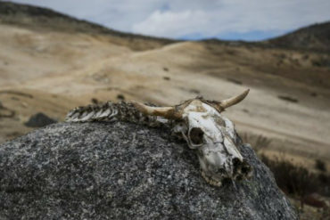 ¡LAMENTABLE! Científicos registran la desaparición del último glaciar en Venezuela (será el primer país suramericano que se quedará sin ellos)