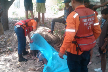 ¡LAMENTABLE! Señor murió en La Guaira tras caerse de una mata de mango (los tumbaba para venderlos y subsistir)