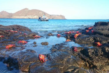 ¡SEPA! Detenido un venezolano y 32 peruanos por pesca ilegal en las islas de Galápagos