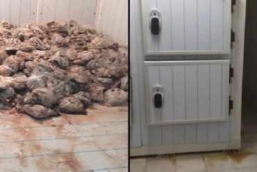 ¡INDOLENCIA! Así se pudrieron 1.500 kilos de pescado donados al Oncológico Luis Razetti (los pusieron en las cavas de la morgue)