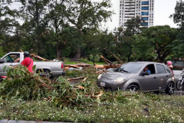 ¡PENDIENTES! Fuertes lluvias en Caracas causaron la caída de varios árboles y vías inundadas (+Fotos)