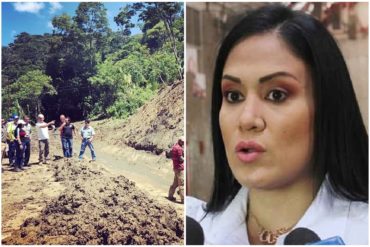 ¡ASFIXIA PRESUPUESTARIA! Laidy Gómez declaró emergencia vial en el estado Táchira