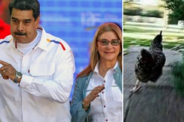 ¡SE PASÓ! Maduro propone llevar gallinas a los liceos: “Yo tengo gallinas en mi casa, las cuido con Cilia” (+Video)