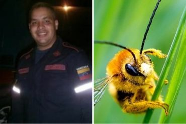 ¡HEROICO Y TRISTE! Un bombero rescató a un niño de 14 años, pero murió atacado por un enjambre de abejas venenosas en Maracaibo (+Detalles)