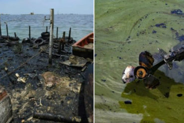 ¡LAMENTABLE! El Lago de Maracaibo vive un «constante derrame de crudo» por la falta de mantenimiento (+Fotos)