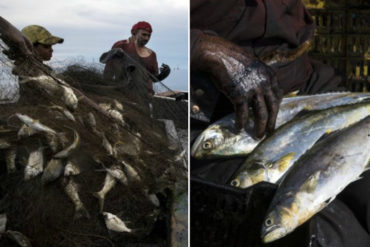 ¡LAMENTABLE! Pescadores venezolanos viven en carne propia las consecuencias del colapso de la industria petrolera en el Zulia (+Fotos)