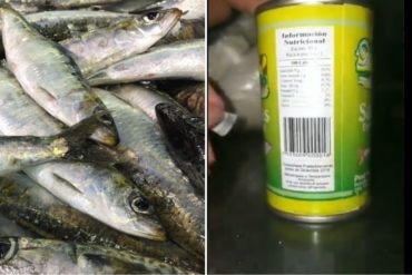 ¡EL COLMO! Estas son las sardinas vencidas que distribuyen en las cajas del CLAP (con fecha de diciembre 2018) (+Video)