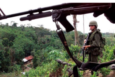 ¡ATERRADOR! Grupos criminales asesinan a jóvenes en territorio venezolano y lanzan los cadáveres en Colombia: 6 casos en 10 días