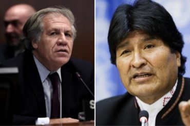 ¡ASÍ LO DIJO! Almagro sobre la renuncia de Evo Morales: “No tenía otra opción que irse”