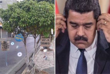 ¡CANSADOS! Árboles en Apure amanecieron este #17Dic con mensajes de protesta (+Fotos)