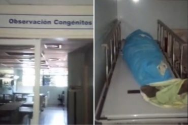 ¡SE VE Y NO SE CREE! Un cadáver se mantiene en el área de observación del Hospital Pérez Carreño por falta de ascensor (+Video)