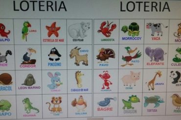 ¡A LO QUE HEMOS LLEGADO! Lotería de Animalitos: El resuelve de los venezolanos en estas Navidades, para obtener efectivo y pagar el pasaje (+Video)