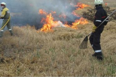 ¡SEPA! Fuerte incendio de vegetación en linderos del Parque Nacional Henri Pittier este #31Mar