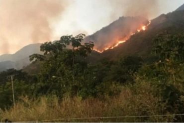 ¡ALARMA! Inameh reporta que 64,2% del país tiene riesgo “muy alto” de incendios forestales (+Foto)