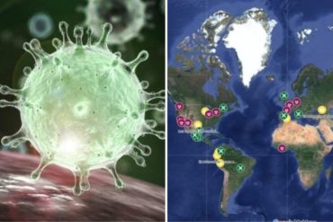 ¡EL DATO! Un mapa interactivo de Google muestra en tiempo real los casos de coronavirus en el mundo (+Imagen actualizada)