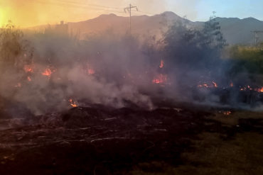 ¡LAMENTABLE! “Cazando conejos, encontraron la muerte”: aseguran que niños que murieron en incendio en Cagua buscaban alimentos