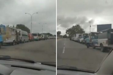 ¡VEA! Reportan kilométrica cola de transportistas en Guayana para surtir combustible (+Video)