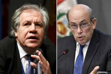 ¡LEA! Embajador peruano dice que Almagro “es más parte del problema que de la solución” en la crisis en Venezuela