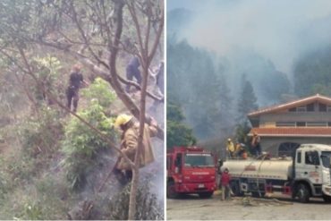 ¡LAMENTABLE! Continúan los incendios forestales en Mérida (+Fotos)