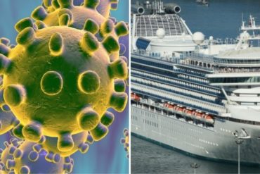 ¡REVELADOR! El alarmante descubrimiento a bordo del Diamond Princess: el coronavirus puede sobrevivir en superficies hasta 17 días