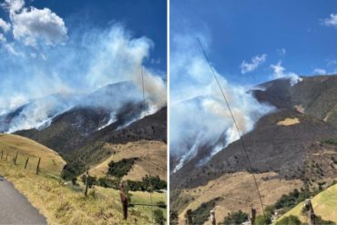 ¡SEPA! Incendio afectó al menos 100 hectáreas del Parque Nacional Yurubí (personal de Inparques no tiene recursos para sofocar las llamas)