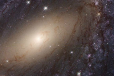 ¡MISTERIOSO! Descubrieron una enigmática señal de radio que llega a la Tierra desde una galaxia que está a 500 millones de años luz