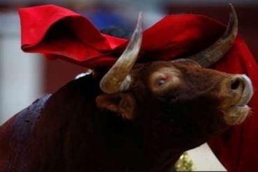 ¡LAMENTABLE! Tragedia en Machiques: Murió niño de 10 años tras ser embestido por un toro