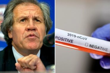 ¡PREOCUPANTE! Almagro se someterá a test de coronavirus tras tener contacto con una persona infectada ¡PREOCUPANTE! Almagro se someterá a test de coronavirus tras tener contacto con una persona infectada