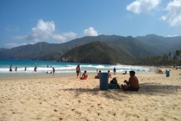 ¡QUÉ SUSTO! Reportan que GNB evacua a visitantes de Playa Grande en Choroní por presencia de medusas (+Fotos)