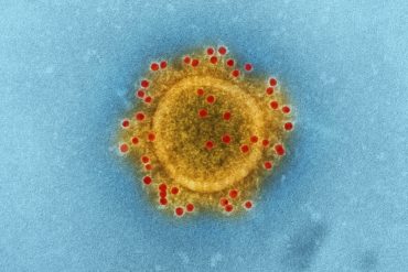 ¡EXTRAOFICIAL! Revelan que esperan resultados de las pruebas por otros dos casos sospechosos de coronavirus