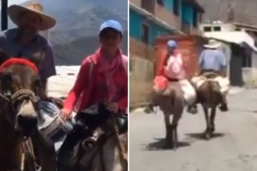 ¡HASTA CUÁNDO! En Mérida se trasladan en caballos debido a la escasez de gasolina (+Video)