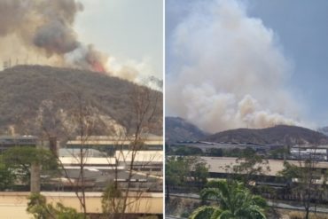 ¡ATENCIÓN! Reportan incendio forestal en montaña de La Yaguara este #11Abr (+Fotos)